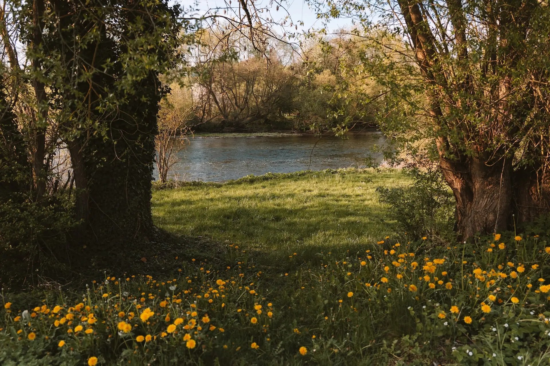Friday Edertal – Nature Camping on the Eder River